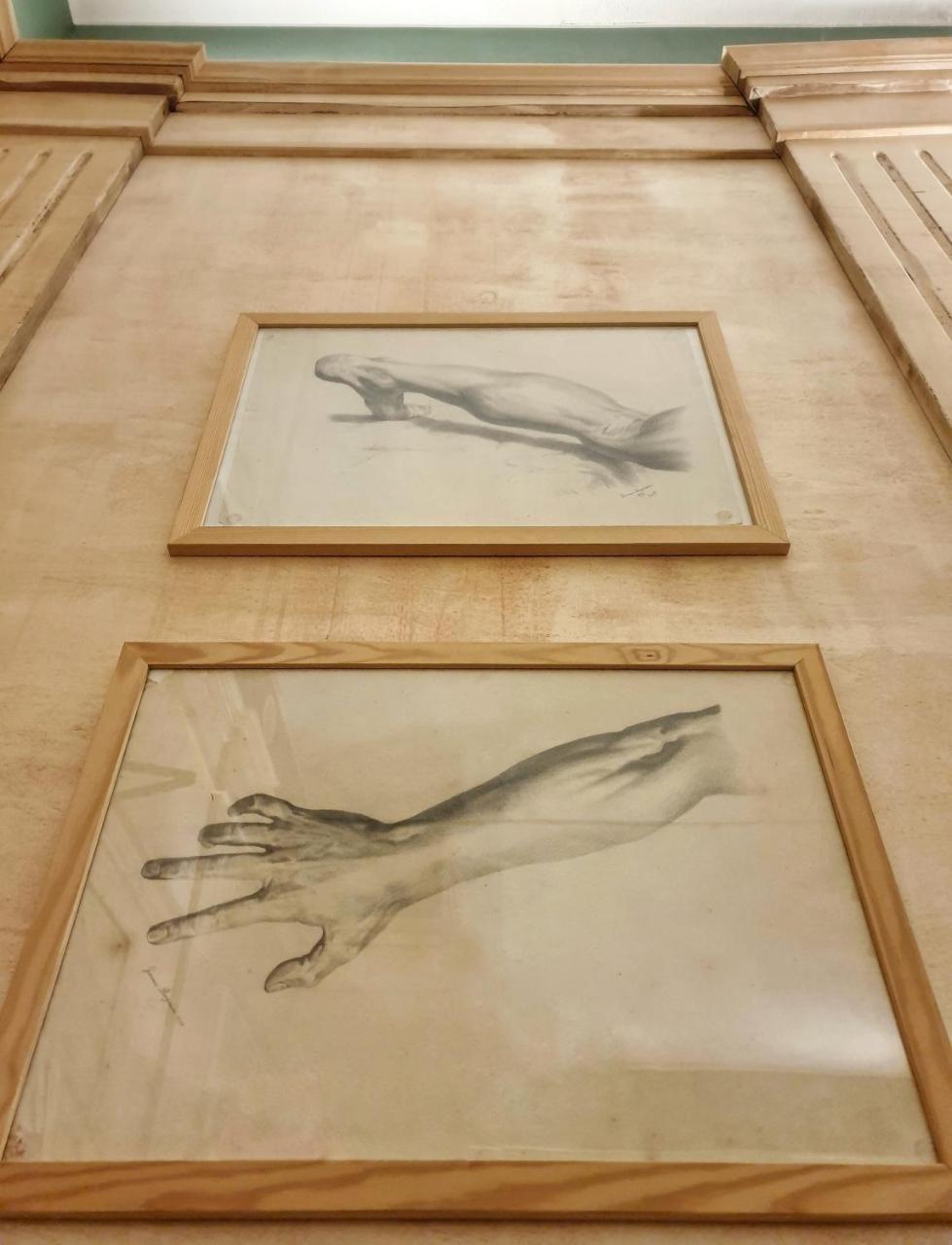 Albergo Delle Drapperie بولونيا المظهر الخارجي الصورة